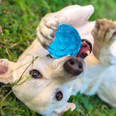 KUTKUT Pack of 3 Dura Squeak Dog Balls (Interactive Dog Toy That Float & Squeak) BallsLabrador, Golden Retriever Tennis Balls
